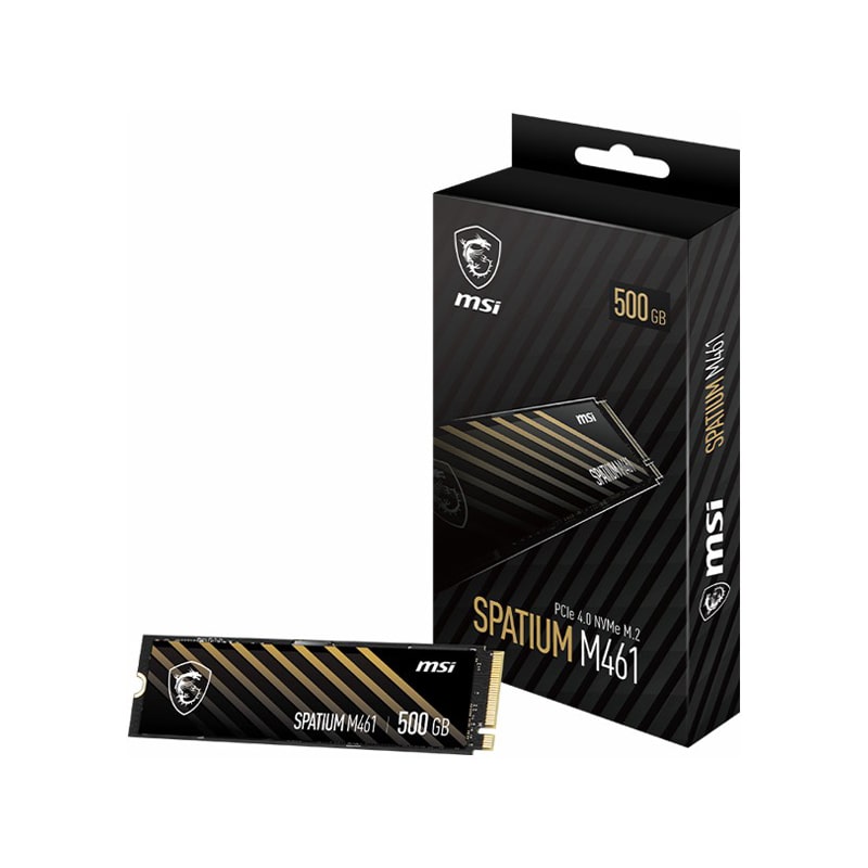 اس اس دی ام اس آی SPATIUM M461 PCIe 4.0 NVMe M.2 500GB