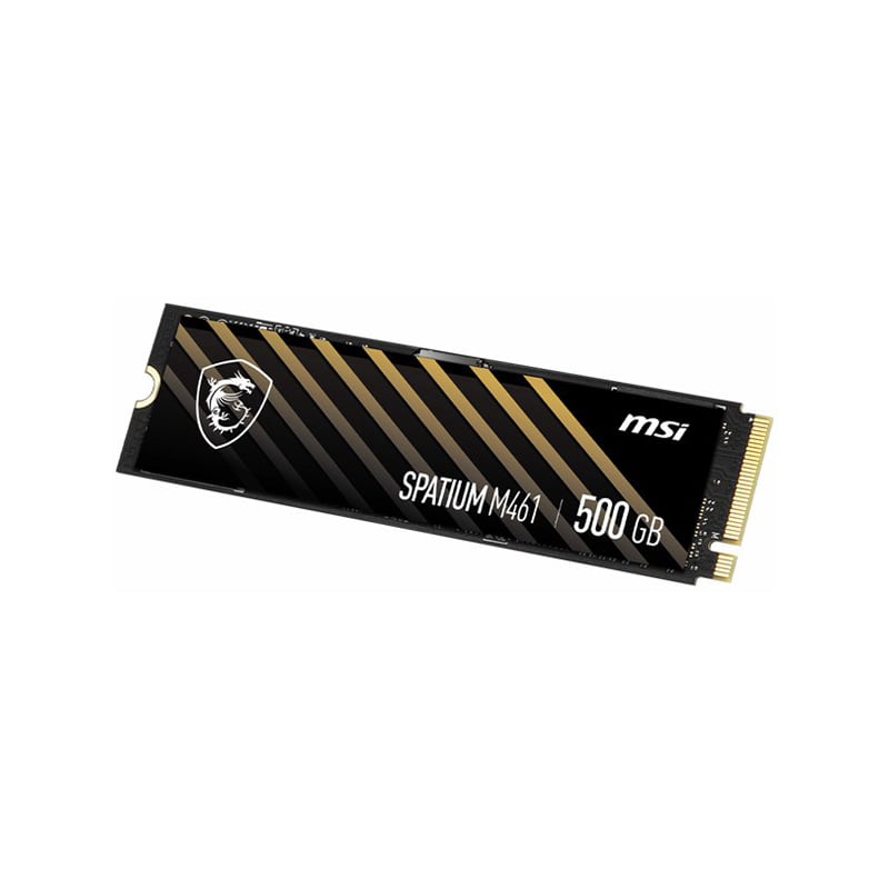 اس اس دی ام اس آی SPATIUM M461 PCIe 4.0 NVMe M.2 500GB