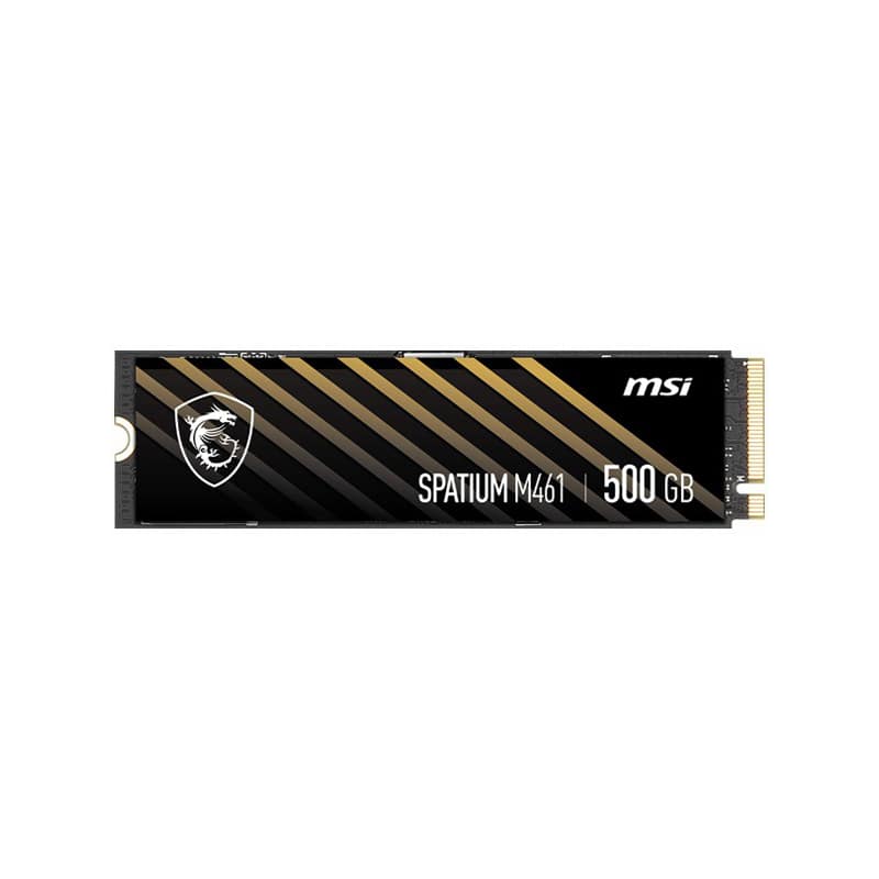 اس اس دی ام اس آی SPATIUM M461 PCIe 4.0 NVMe M.2 500GB