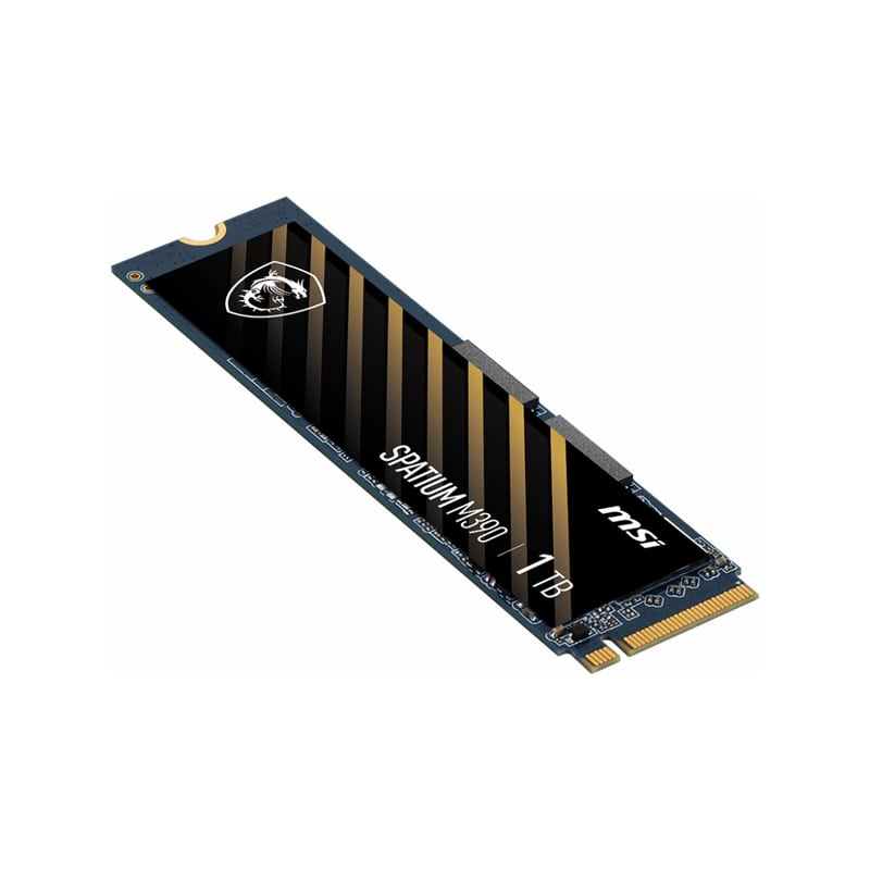 اس اس دی ام اس آی SPATIUM M390 NVMe M.2 1TB