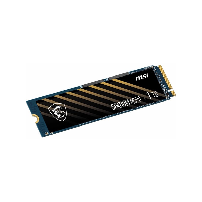 اس اس دی ام اس آی SPATIUM M390 NVMe M.2 1TB