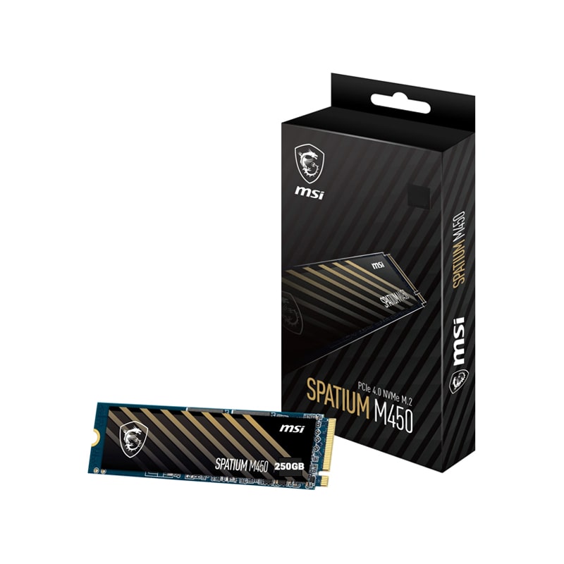 اس اس دی ام اس آی SPATIUM M450 NVMe M.2 250GB