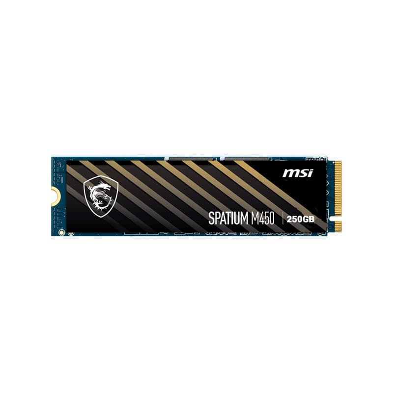 اس اس دی ام اس آی SPATIUM M450 NVMe M.2 250GB