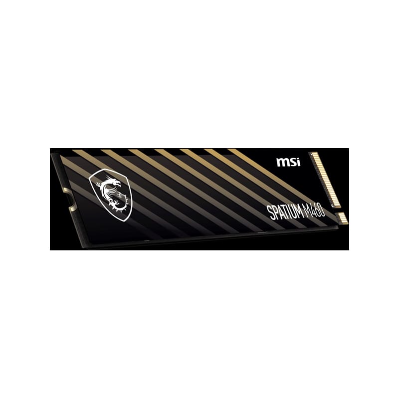 اس اس دی ام اس آی SPATIUM M460 NVMe M.2 250GB