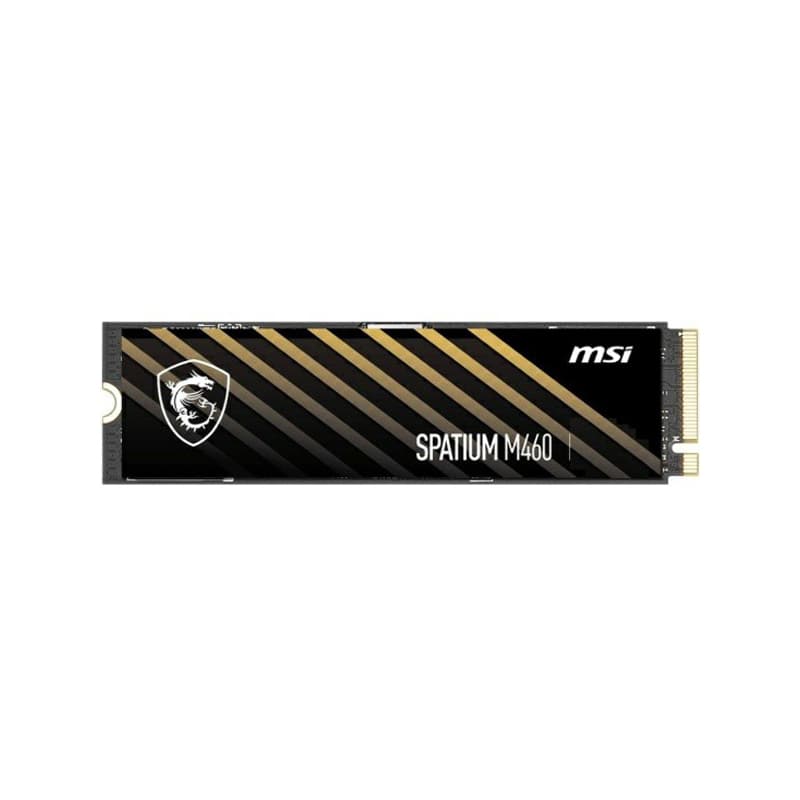 اس اس دی ام اس آی SPATIUM M460 NVMe M.2 250GB
