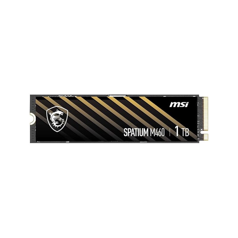 اس اس دی ام اس آی SPATIUM M460 NVMe M.2 1TB