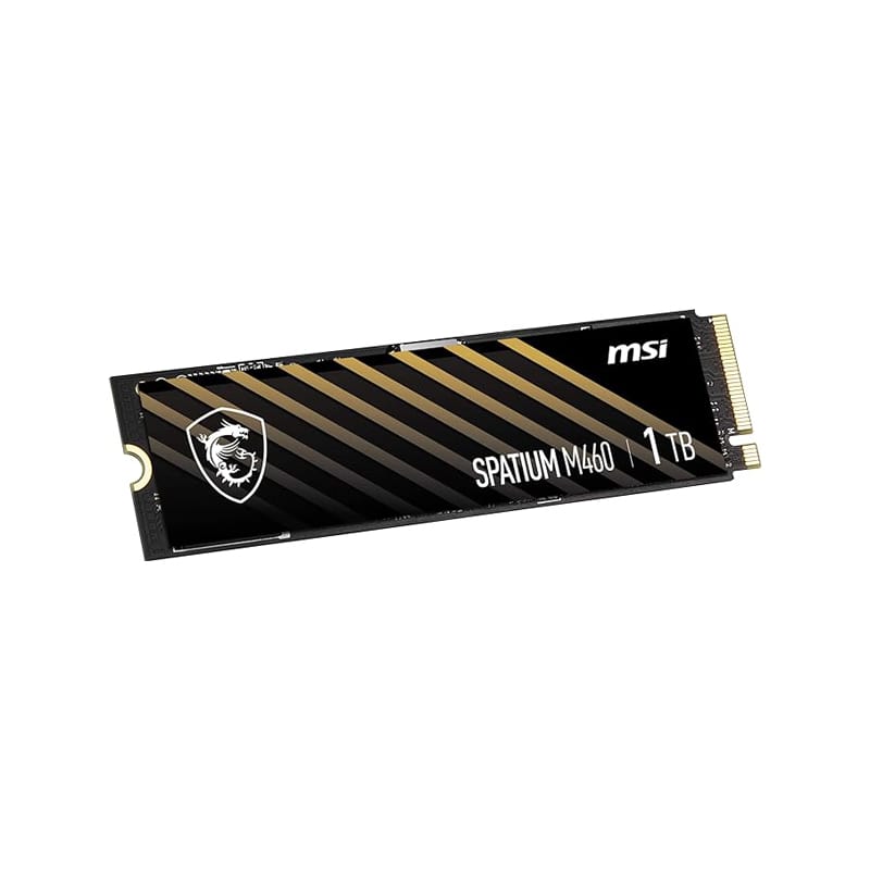اس اس دی ام اس آی SPATIUM M460 NVMe M.2 1TB