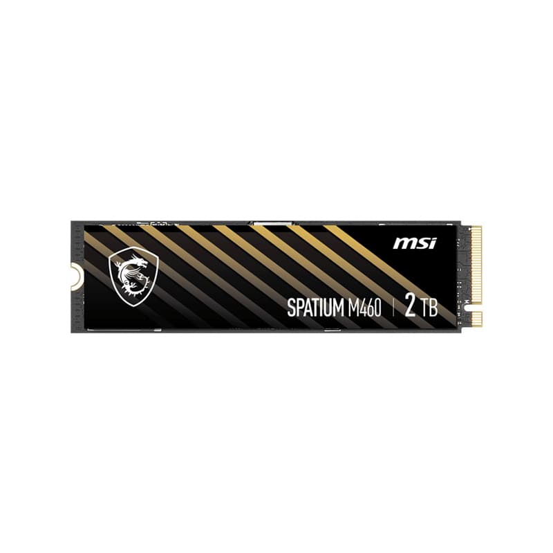 اس اس دی ام اس آی SPATIUM M460 NVMe M.2 2TB